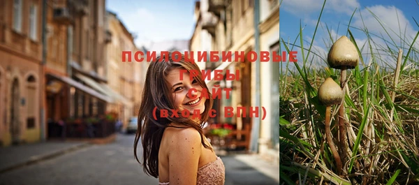 PSILOCYBIN Гусиноозёрск