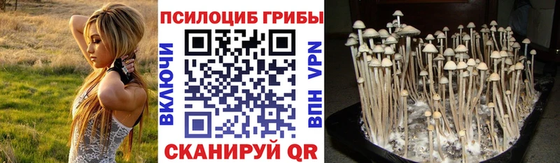 hydra зеркало  Данков  Галлюциногенные грибы прущие грибы 